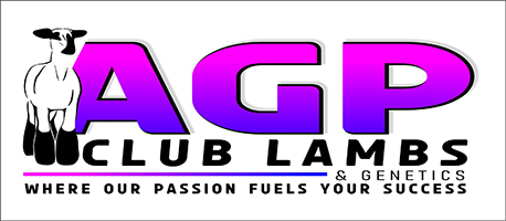 AGP CLub Lambs